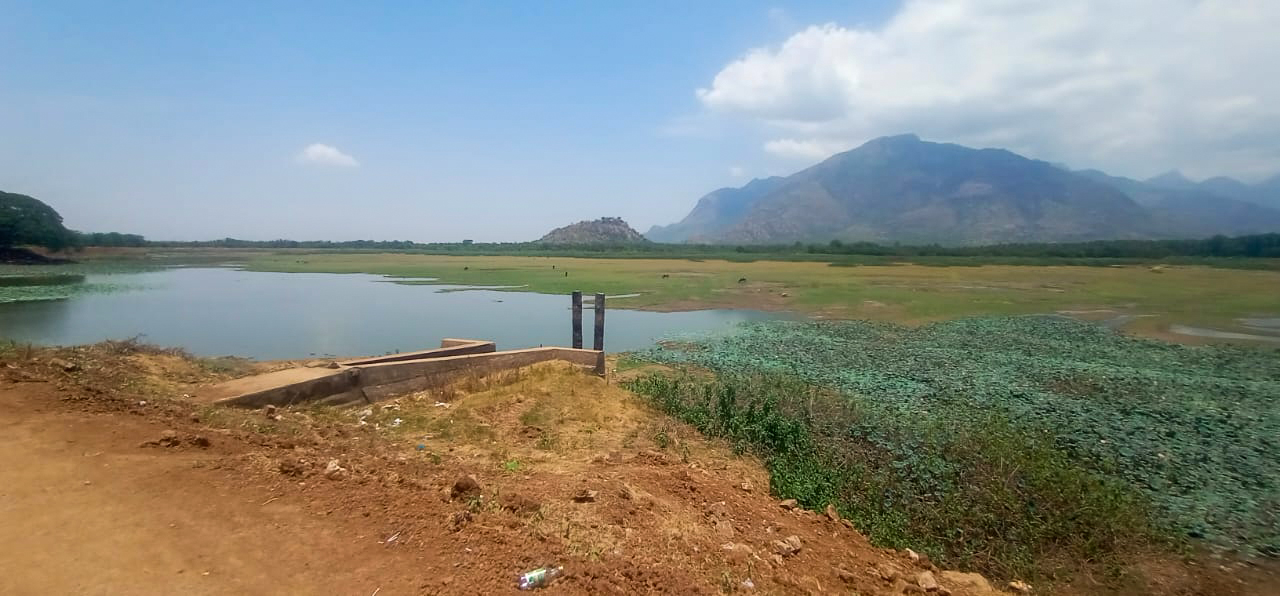 கங்காமடை
