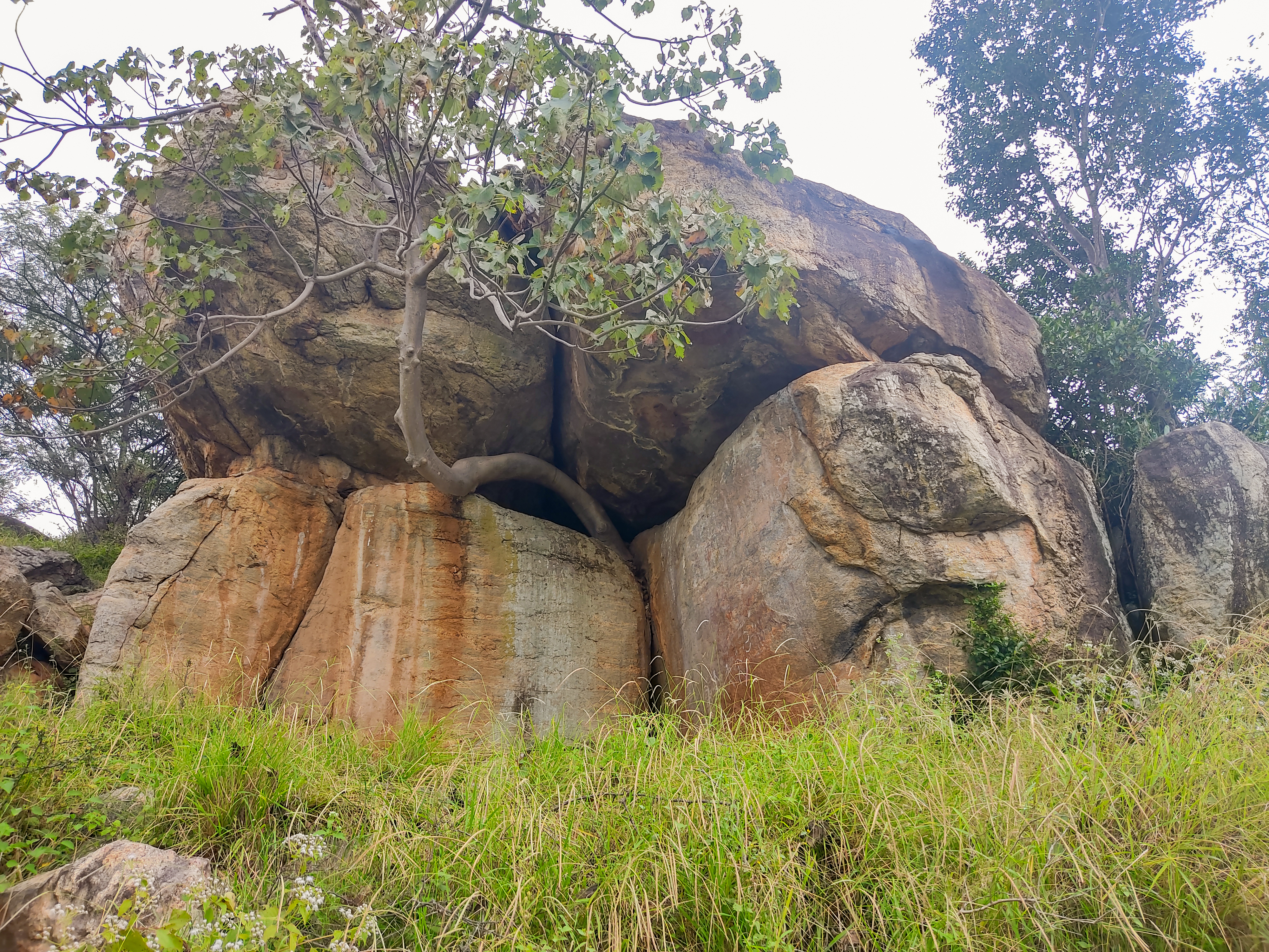 மொட்டைப்பாறை மலை