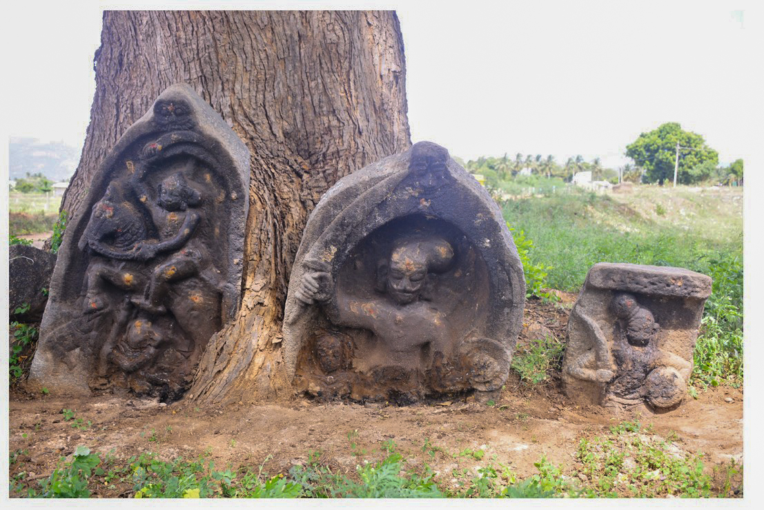 நடுகற்கள்