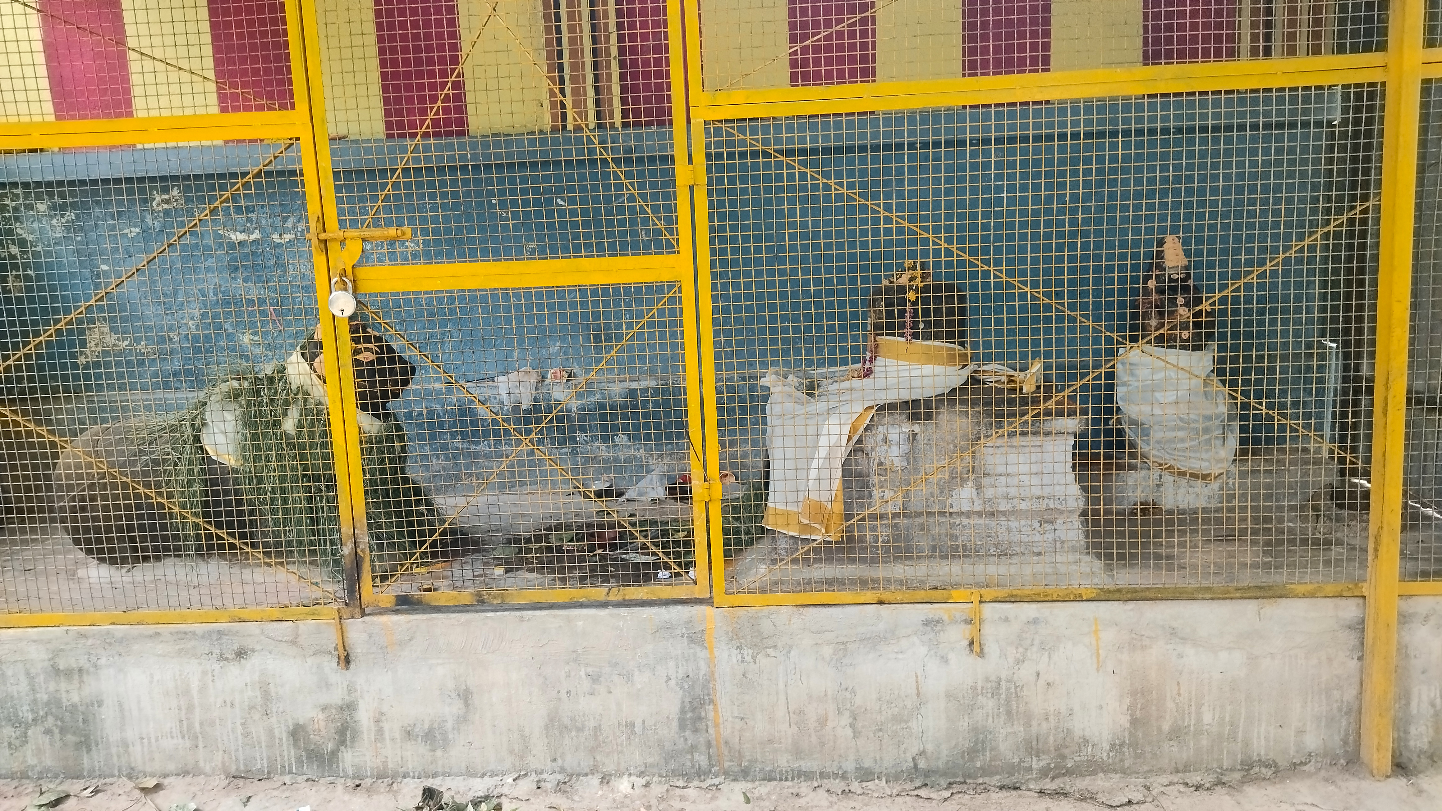 கோயில் வளாகம்