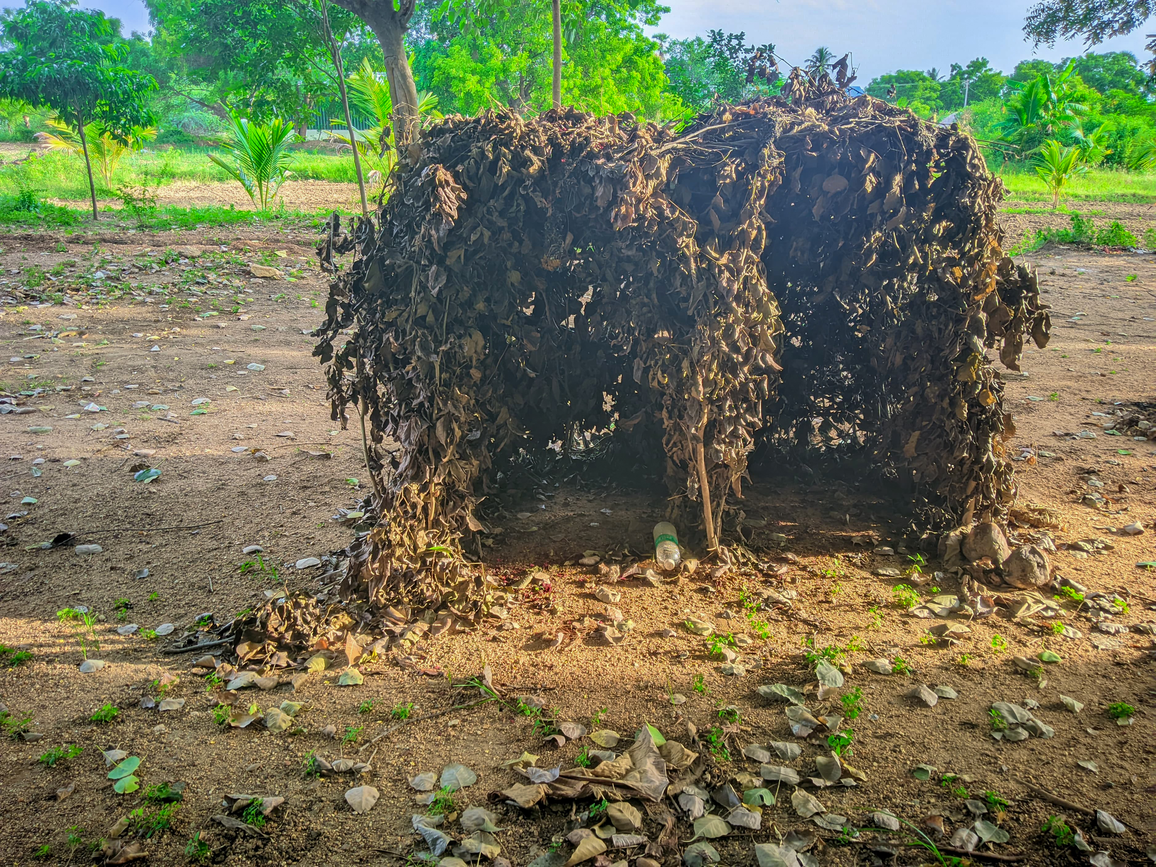 கோயில் வளாகம்